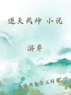 逆天武神 小说