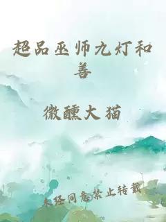 超品巫师九灯和善