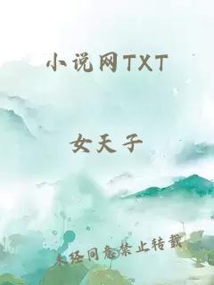 小说网TXT