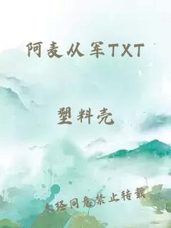 阿麦从军TXT