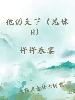 他的天下（兄妹H）