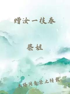 赠汝一枝春