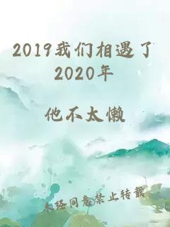 2019我们相遇了2020年