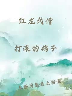 红龙武僧