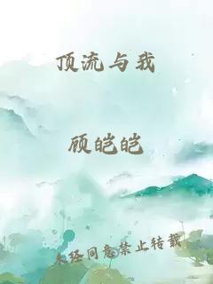 顶流与我