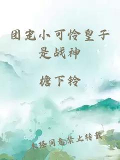 团宠小可怜皇子是战神