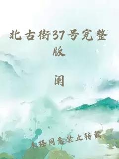 北古街37号完整版