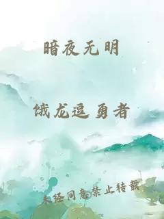 暗夜无明