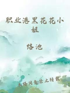 职业港黑花花小姐