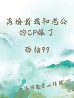 离婚前我和老公的CP爆了