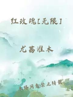 红玫瑰[无限]