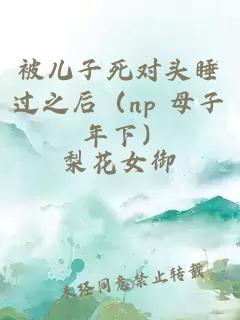 被儿子死对头睡过之后（np 母子 年下）