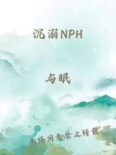 沉溺NPH