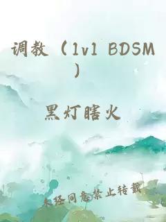 调教（1v1 BDSM）