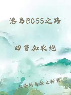 港岛BOSS之路