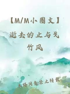 【M/M小圈文】逝去的止与戈